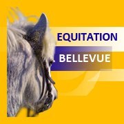 Bienvenue au centre équestre de Planguenoual